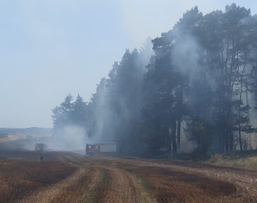 Einsatzbericht 15/2025: Feld- und Waldbrand bei Schmadebeck